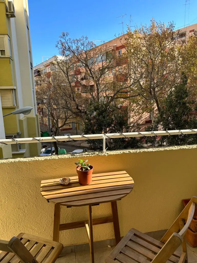 WhatsApp Image 2026-01-09 at 17.07.53.webp