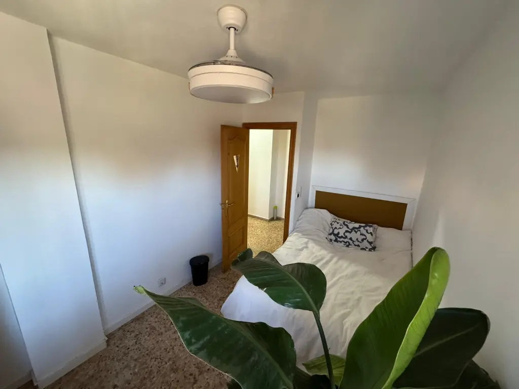 WhatsApp Image 2026-01-09 at 17.07.52.webp